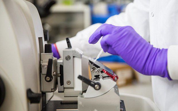 بیمارستان امام علی(ع) رودان مجهز به دستگاه ثبت نوار مغز شد