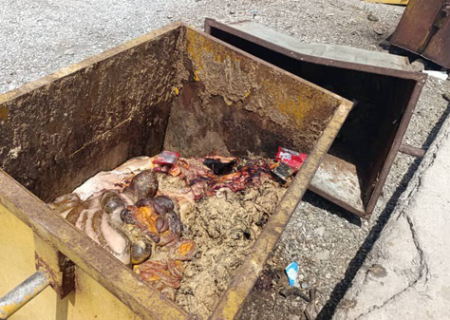 صدور اخطاریه دوم زیست محیطی به کشتارگاه دام شهرداری رودان