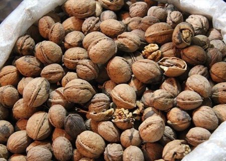 محموله ۵ميلياردی گردوی قاچاق در توقيف پليس رودان