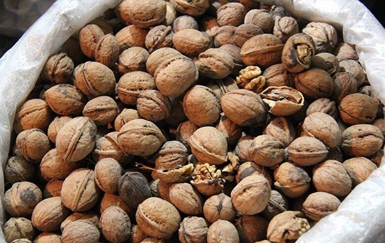 محموله ۵ميلياردی گردوی قاچاق در توقيف پليس رودان