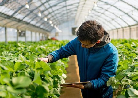 راه‌اندازی مرکز تحقیقات کشاورزی در رودان ضرورت دارد/ دانشگاه باید منشأ تحولات اجتماعی باشد