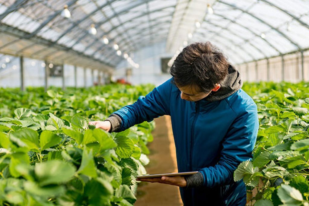 راه‌اندازی مرکز تحقیقات کشاورزی در رودان ضرورت دارد/ دانشگاه باید منشأ تحولات اجتماعی باشد