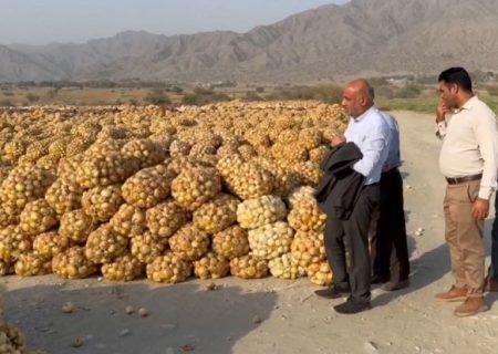 وزیر تعاون، کار و رفاه اجتماعی پای درد دل کشاورزان پیاز جنوب کشور نشست