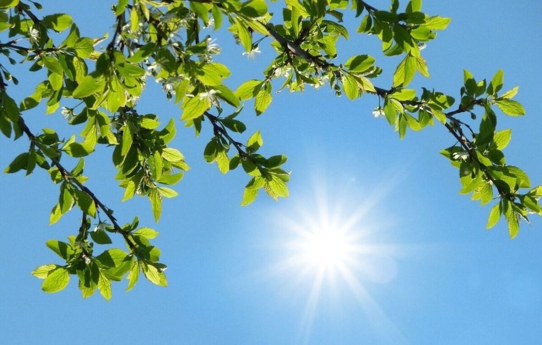 افزایش محسوس دما در هرمزگان تا پایان هفته