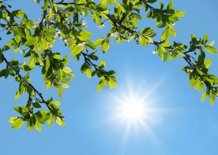 افزایش محسوس دما در هرمزگان تا پایان هفته