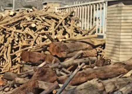 ۲ تن چوب جنگلی غیرمجاز در رودان توقیف شد