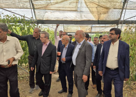 بازدید وزیر کار از واحد تولید محصولات گلخانه‌ای در رودان