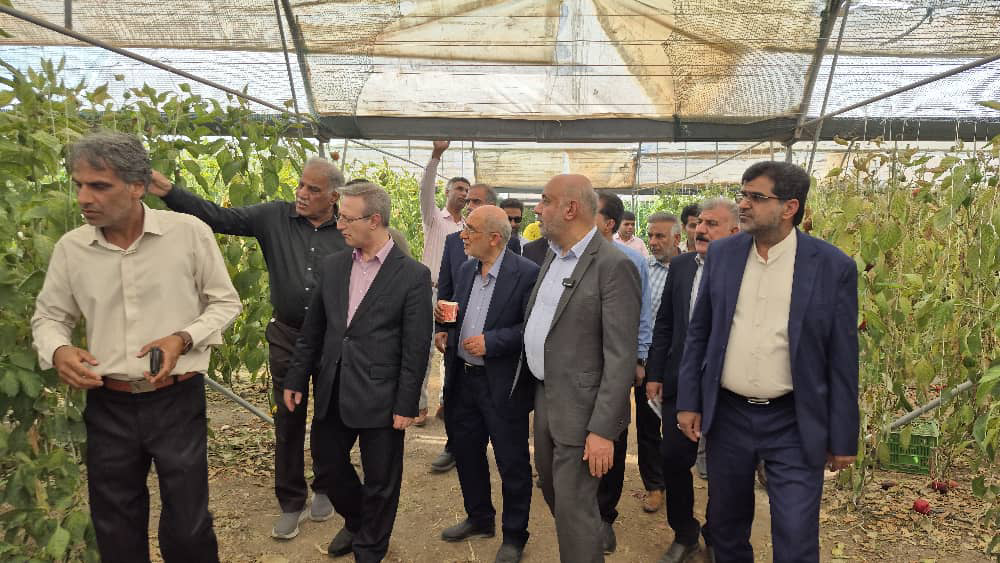 بازدید وزیر کار از واحد تولید محصولات گلخانه‌ای در رودان