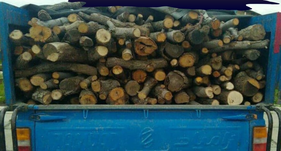 توقيف خودرو حامل ۲ تن چوب قاچاق در رودان