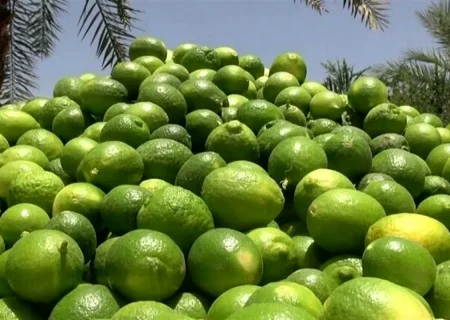 توقيف کاميون حامل ليمو قاچاق در رودان