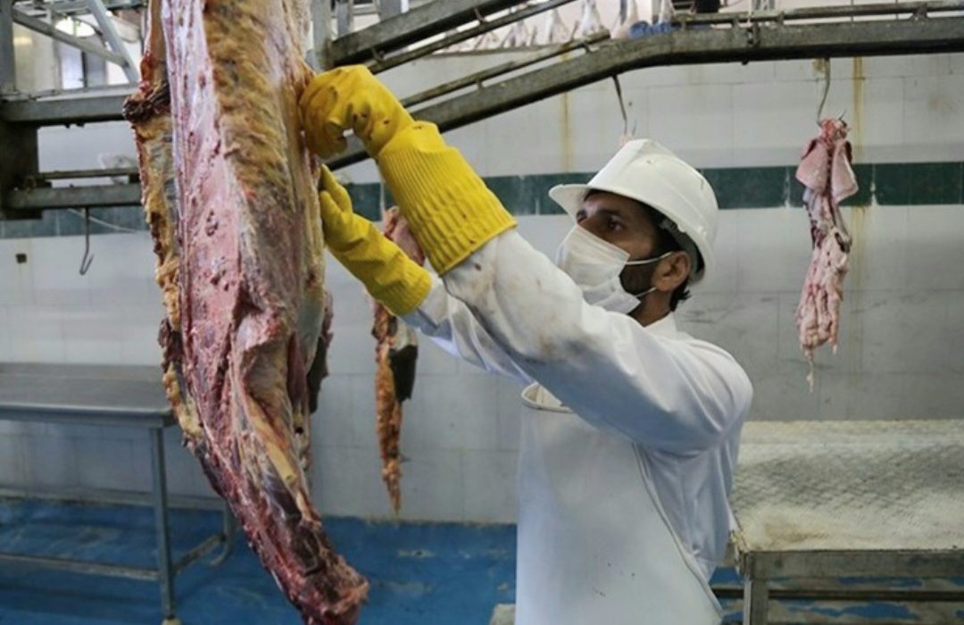 ذبح دام رایگان در رودان