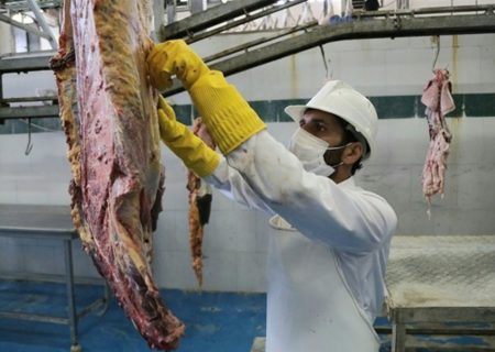 ذبح دام رایگان در رودان