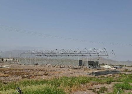 اجرای پروژه گلخانه میوه‌های گرمسیری در شهرستان رودان