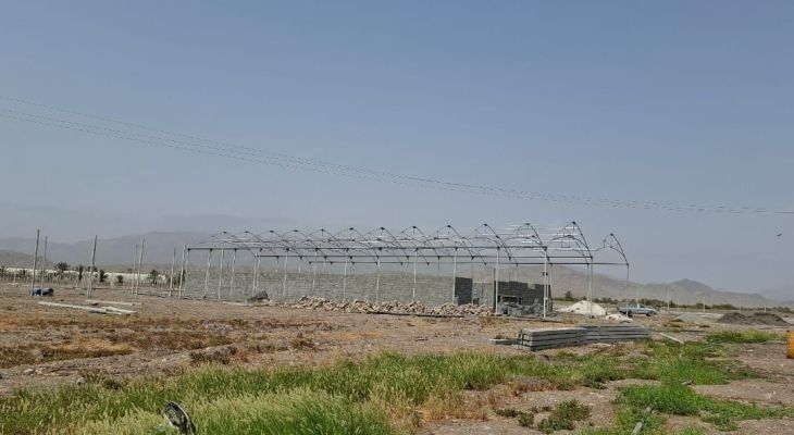 اجرای پروژه گلخانه میوههای گرمسیری در شهرستان رودان