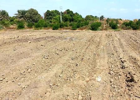 رفع تصرف بیش از ۲هزار مترمربع از اراضی ملی برنطین رودان