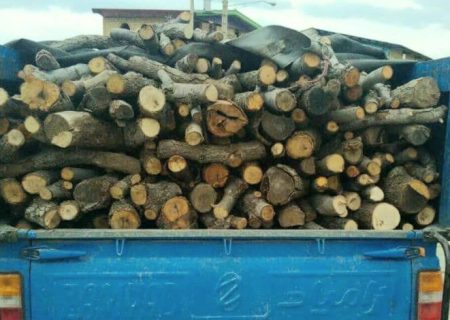 قاچاق چوب و برداشت غیرمجاز گیاهان دارویی در رودان ممنوع است