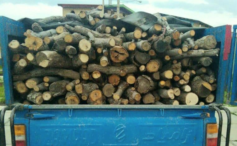 قاچاق چوب و برداشت غیرمجاز گیاهان دارویی در رودان ممنوع است