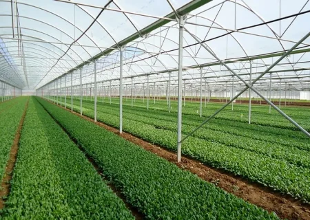 احداث گلخانه‌های «نت‌هاوس» در بخش جغین رودان سرعت گرفت