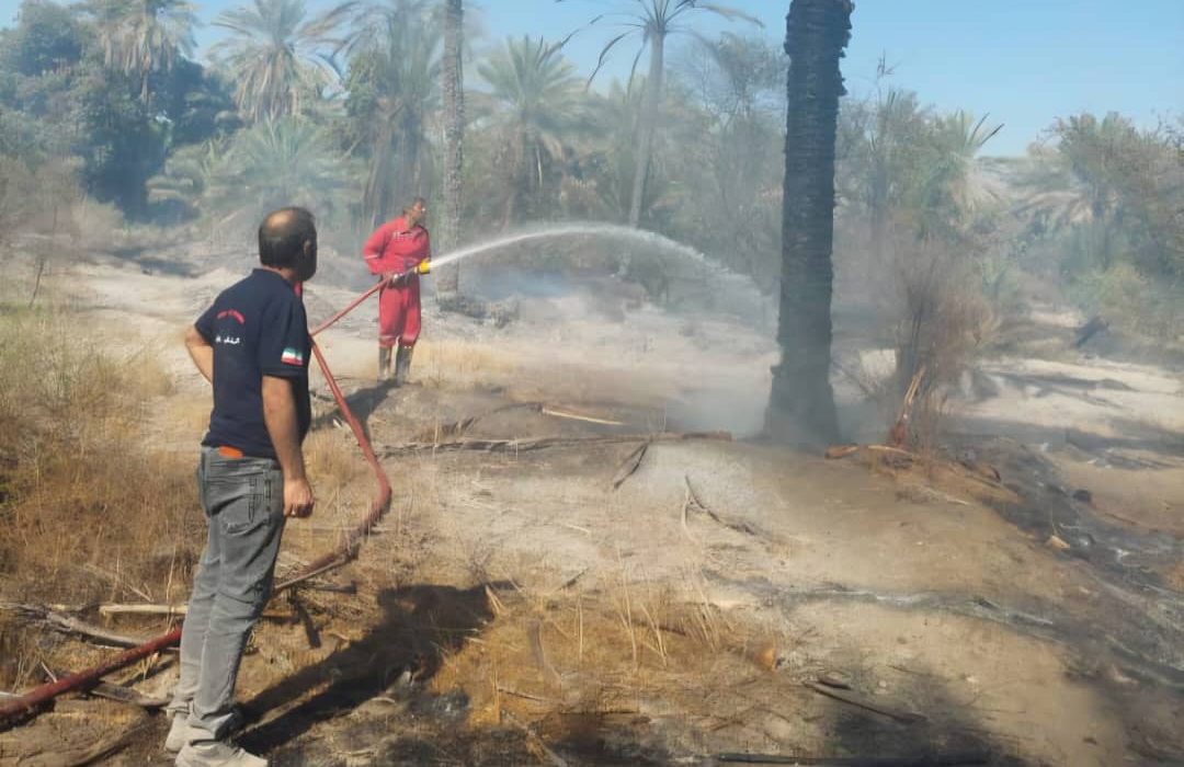 آتش‌سوزی گسترده در باغات پشته‌معزآباد رودان مهار شد