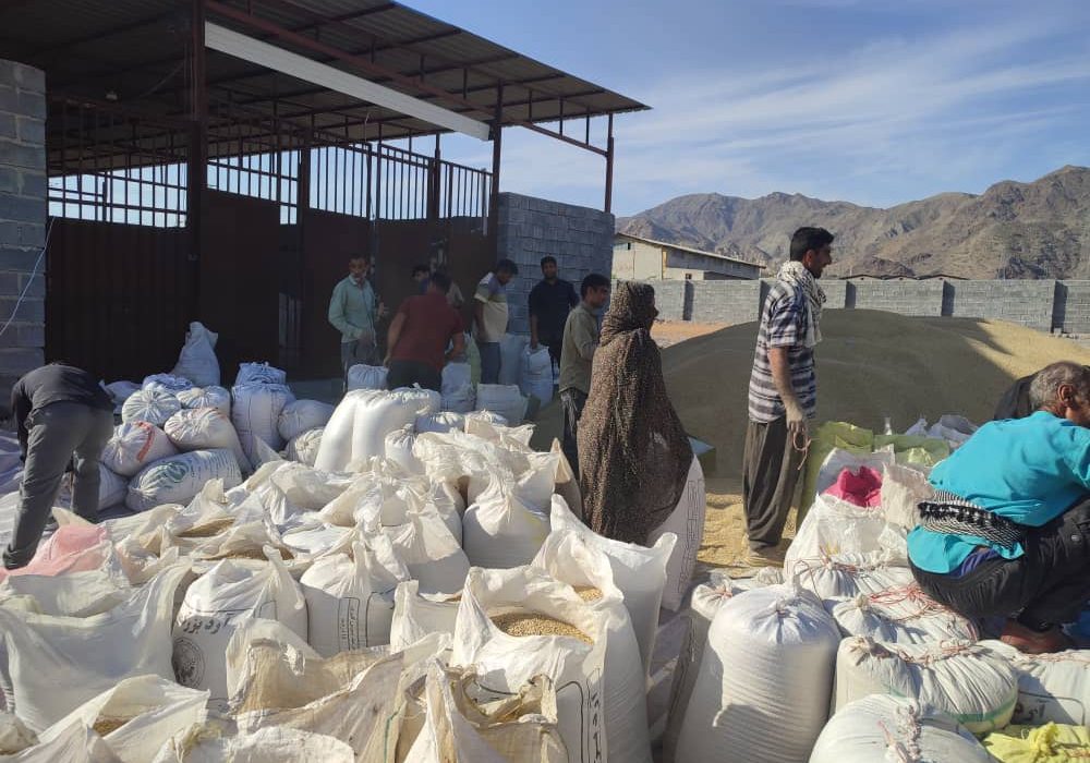 ۹۰۰ تن نهاده‌های دامی برای عشایر در رودان توزیع شد