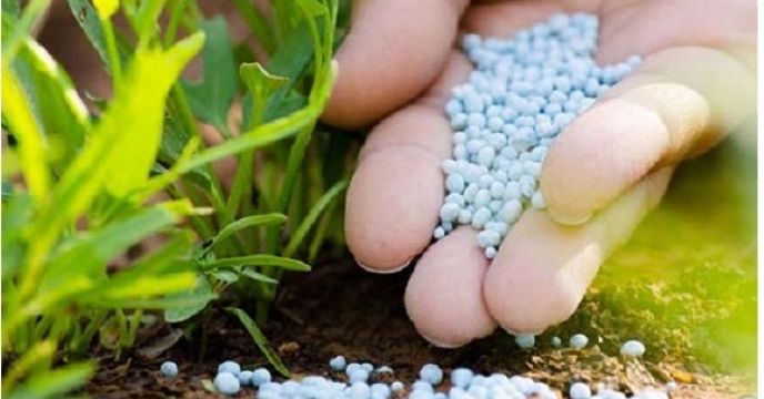 توزیع 835 تن کود کشاورزی اوره در شهرستان رودان