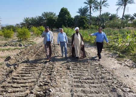 اخطار صریح فرماندار رودان درباره خطر قریب‌الوقوع سیلاب آبنما