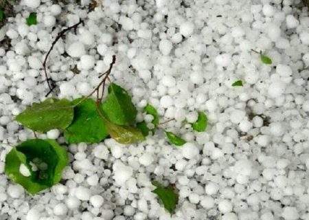 بارش شدید تگرگ در بیکاه رودان