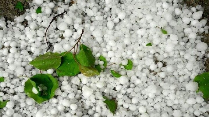 بارش شدید تگرگ در بیکاه رودان