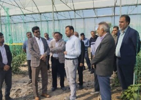 فرماندار رودان بر ساماندهی حریم رودخانه آب‌نما و حمایت از کشاورزان تأکید کرد