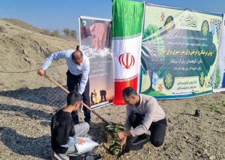 آغاز پویش«درختی برای پدر؛ سبزی برای ایران» در رودان
