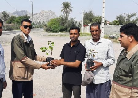 اجرای پویش “نهال خانه به خانه” در رودان