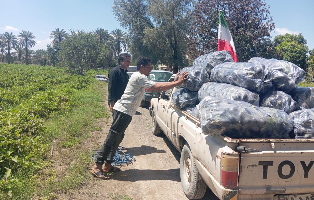 جمعآوری کمکهای مردمی توسط بسیج سازندگی رودان برای رزمندگان
