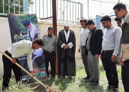 نهال‌هایی برای روشن ماندن راه شهیدان در دل کتابخانه‌های رودان