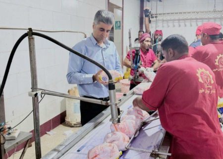 فعالیت بی‌وقفه کشتارگاه‌های طیور هرمزگان در عرضه روزانه ۱۲۰ تن گوشت مرغ