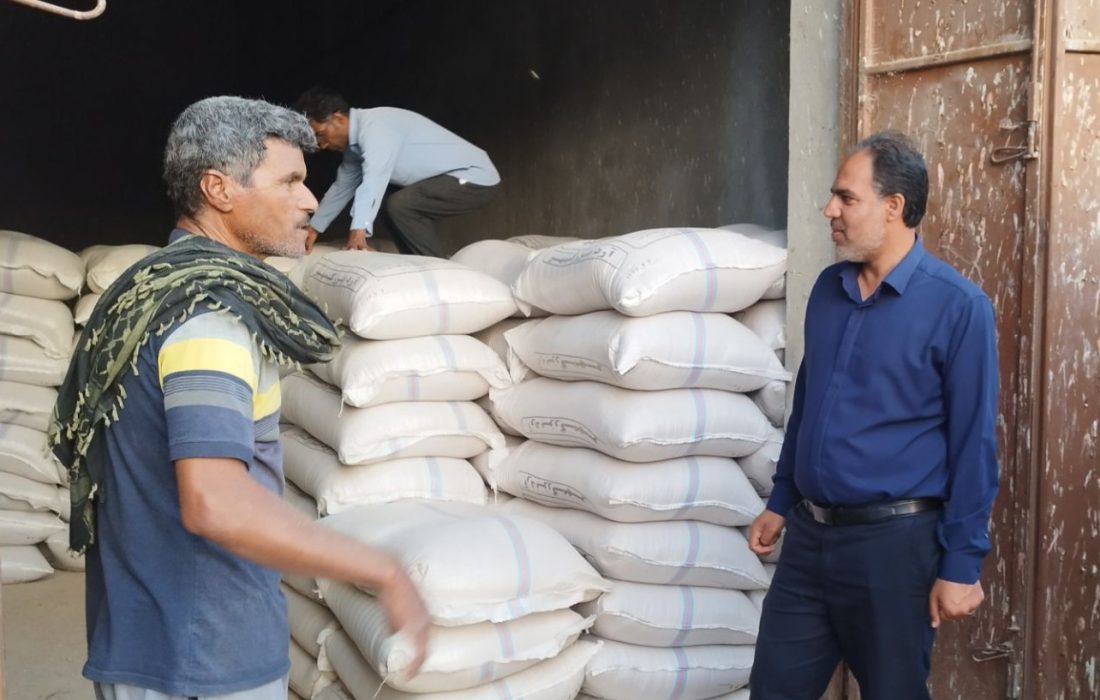 توزیع ۴۵۰ تن سبوس در شهرستان رودان