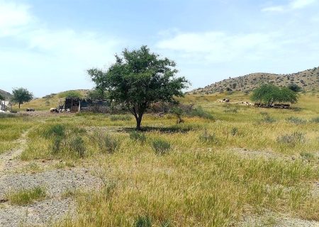 اخطاریه خروج دام عشایر از مراتع شهرستان رودان صادر شد