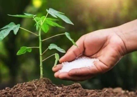 افزایش ۸ درصدی توزیع کودهای شیمیایی در رودان