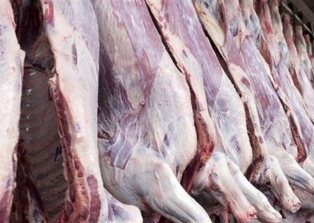 اهدای ۳۱ رأس گوسفند توسط ایل کهوری به رزمندگان جبهه مقاومت