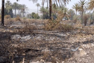 مهار آتش‌سوزی در باغات  فاریاب رودان