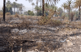 مهار آتش‌سوزی در باغات  فاریاب رودان