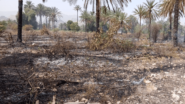 مهار آتش‌سوزی در باغات  فاریاب رودان