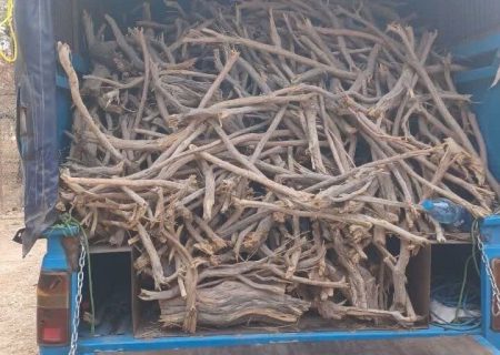دو تن چوب جنگلی غیرمجاز در رودان کشف و توقیف شد