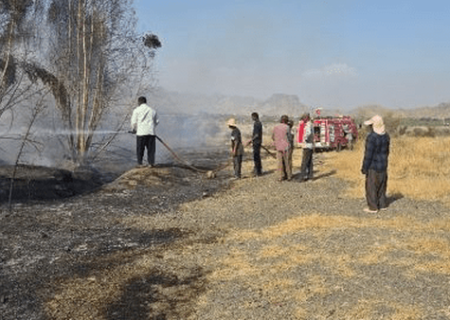 آتش‌سوزی باغات ورودی روستای فاریاب رودان مهار شد