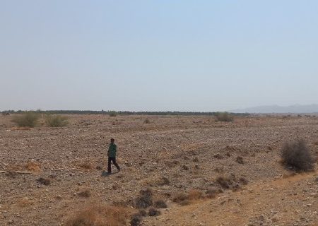 پایش مستمر اراضی ملی رودان برای پیشگیری از تصرفات غیرمجاز
