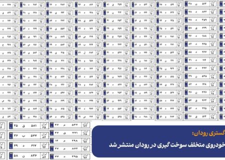 ۱۶۳ خودرو با سوخت‌گیری تکراری در رودان زیر ذره‌بین