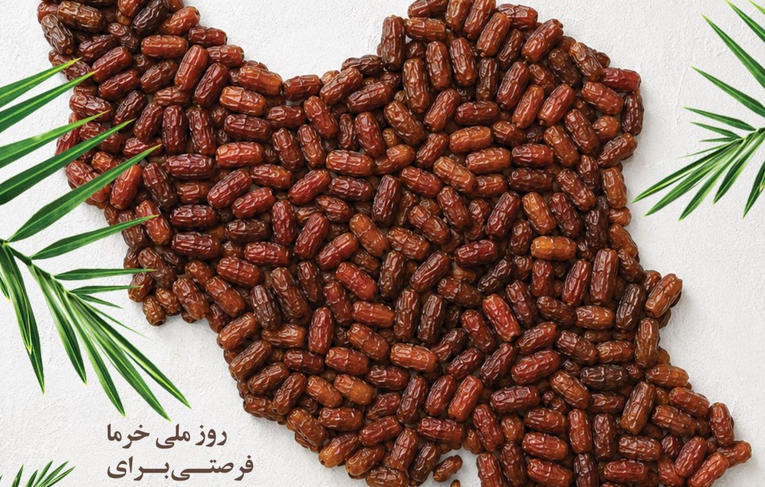 «نخلهای هرمزگان» روایتِ ایستادگی، معیشت و هویت جنوب