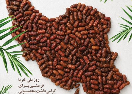 «نخل‌های هرمزگان» روایتِ ایستادگی، معیشت و هویت جنوب